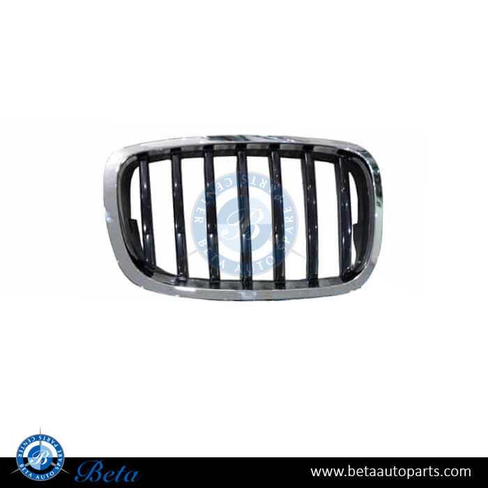 Right Side Grille for BMW X6 E71 LCI 2013-2014 models, Part Number 51137305590 Right Side Grille for BMW X6 E71 LCI 2013-2014 models, Part Number 51137305590